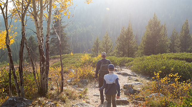 Family hiking through nature.